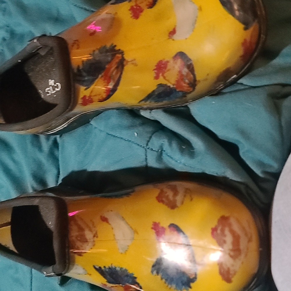 Slogger water shoes